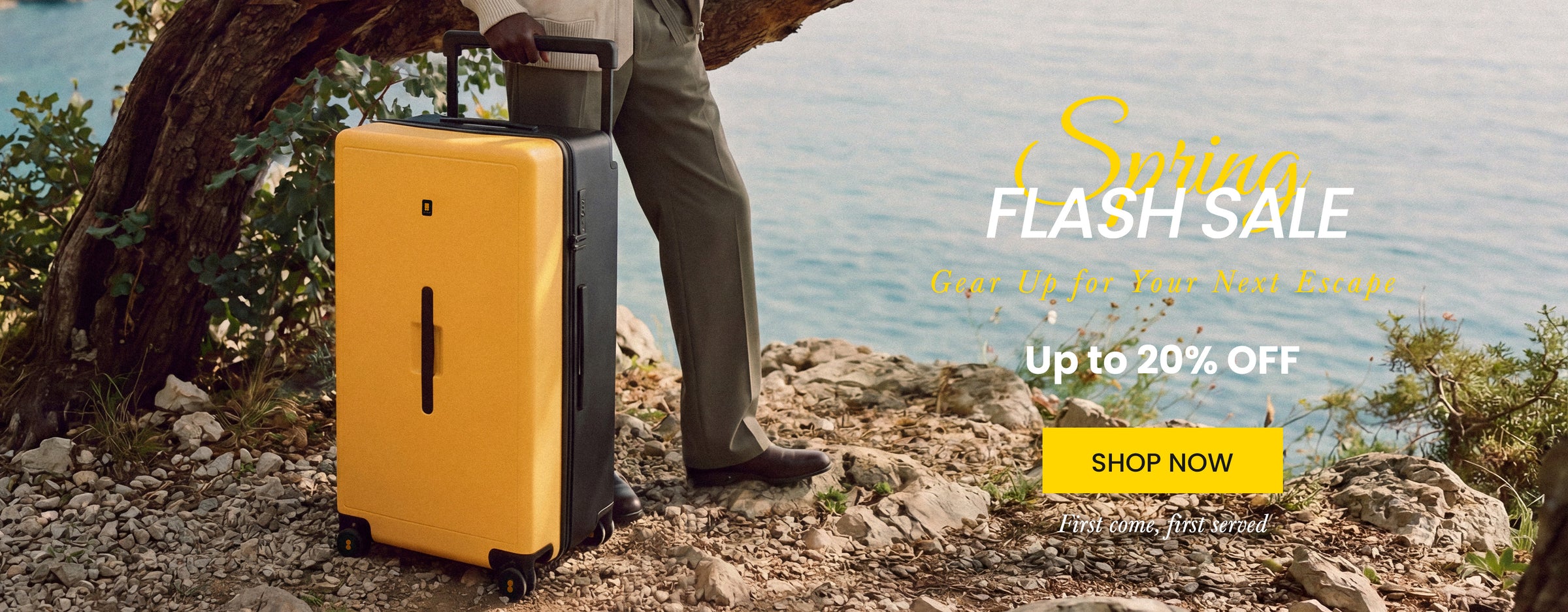 spring sale pc banner.